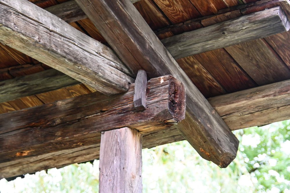 Branchentag Holzbau 2025